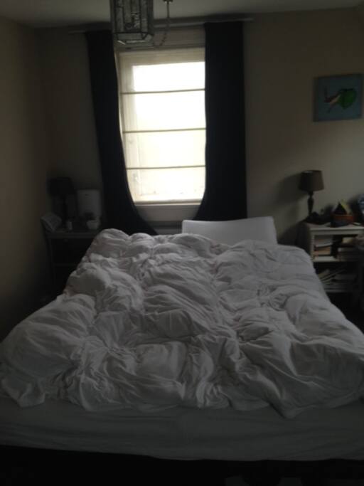 One bedroom, double bed, dark day.