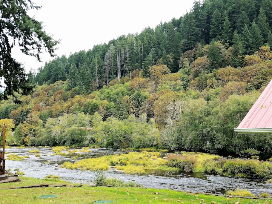 An early fall view of the Siuslaw river from the yard