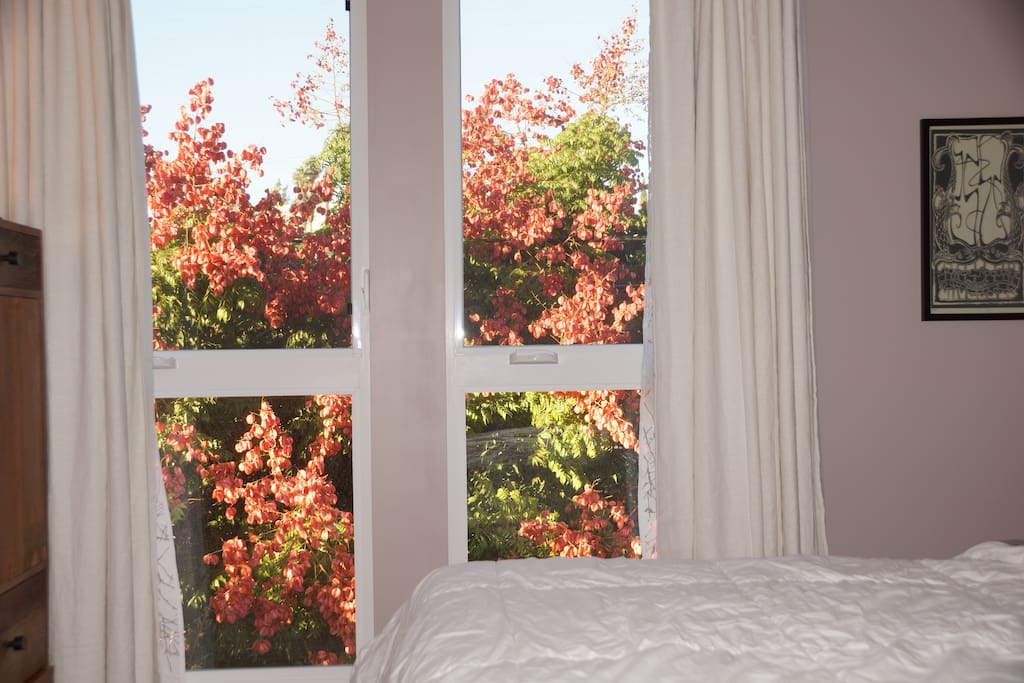 Master Bedroom Suite (Oct '17 in Full Bloom)