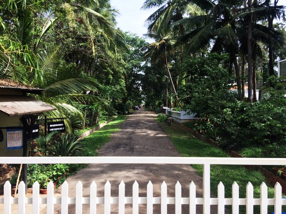 Entrance to the plot