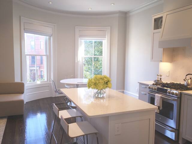 Beautiful Boston Brownstone gallery image 5