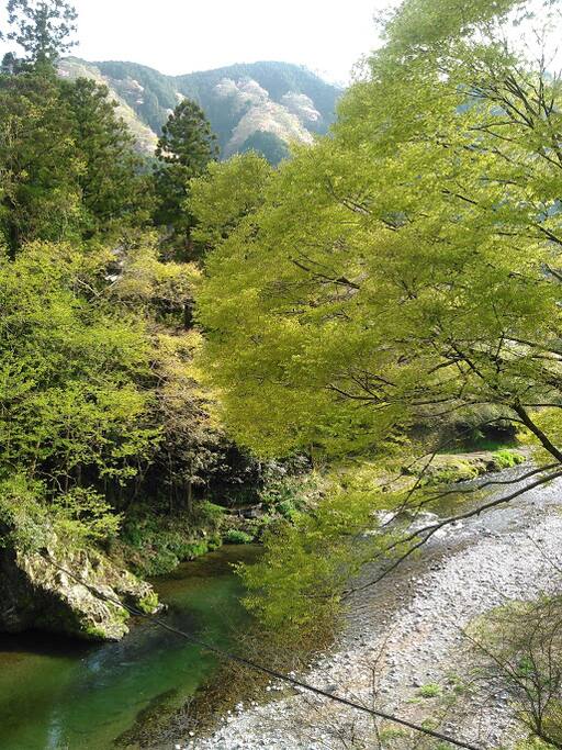River view