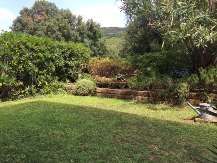 fenced wall garden