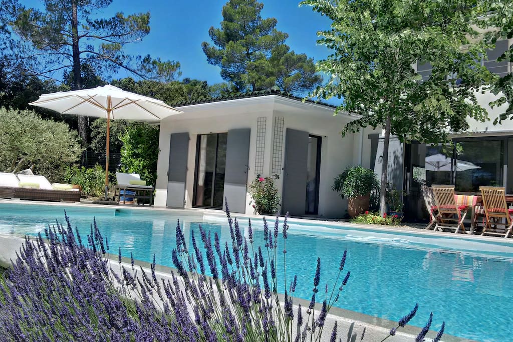 Piscine privative, partagée avec le propriétaire