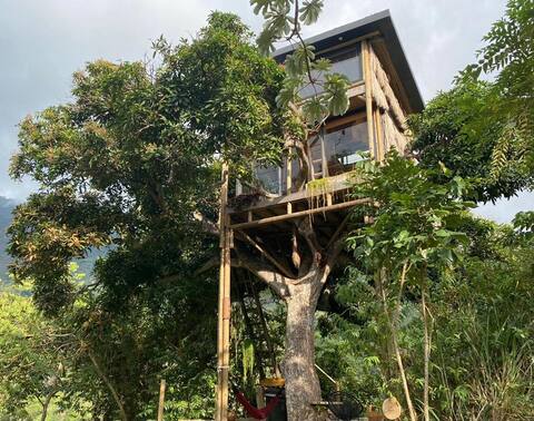 TREE HOUSE TUTUSOMA, MINCA - SIERRA NEVADA