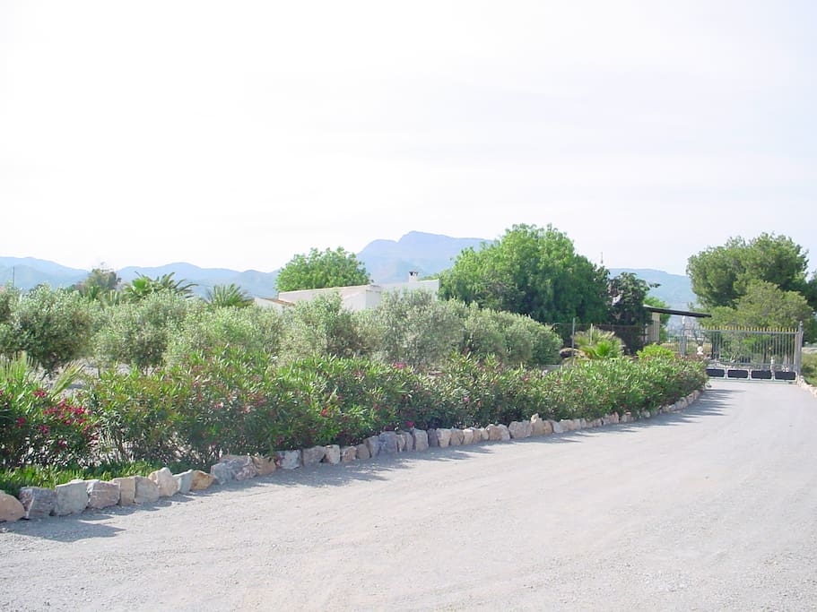 Driveway