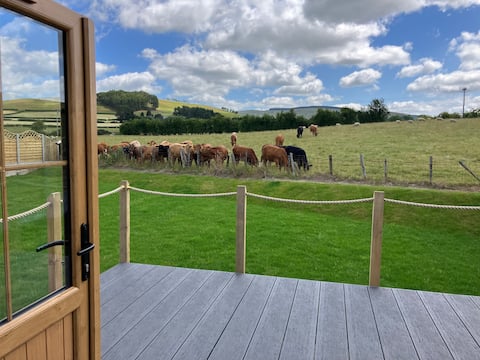 Lily 1 bedroom Shepherds hut with hot tub