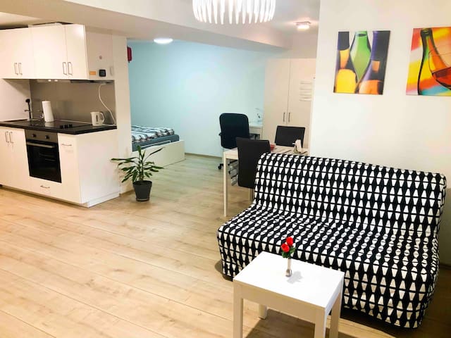 Airbnb Arisdorf Holiday Rentals Places To Stay Basel