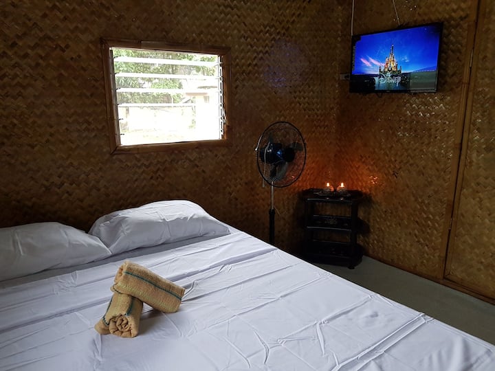 Queen size bed with fan and a 32" tv