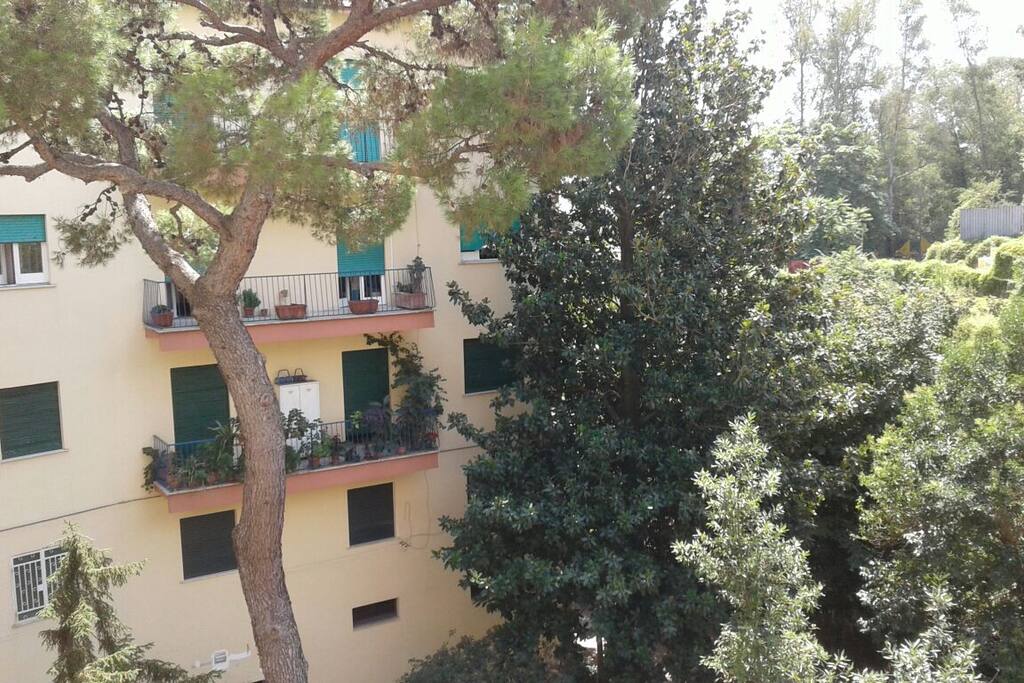 il parco