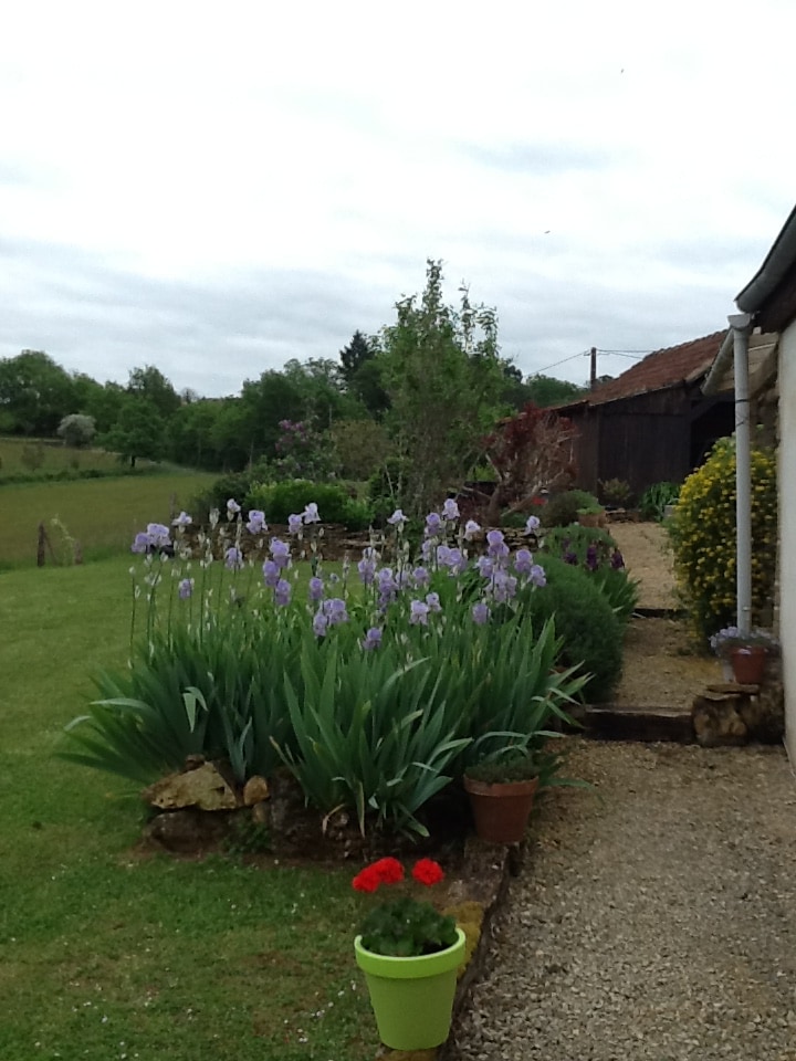 A well-maintained garden features a variety of flowering plants, including tall purple irises and lush green foliage. A pathway leads to the entrance of the house, bordered by various potted plants. The peaceful countryside can be observed in the background.