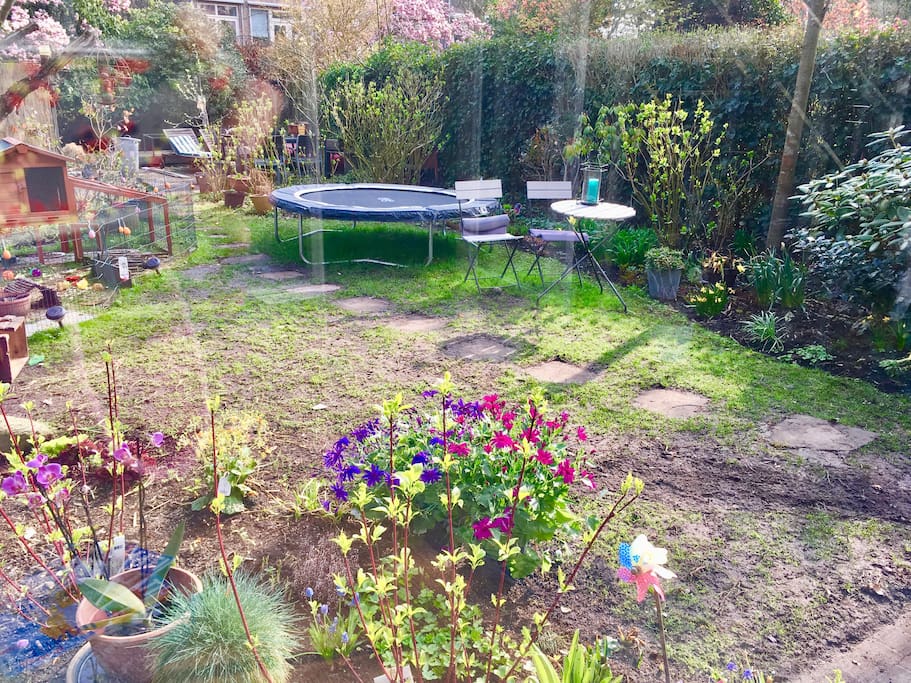 Garden side