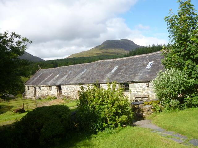 Ancient barn in the wild