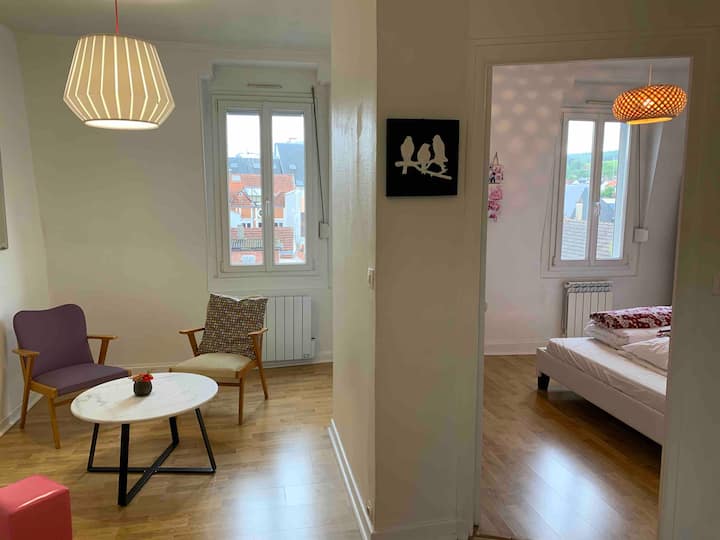 Charming Hyper center Epernay ***  Vineyard view