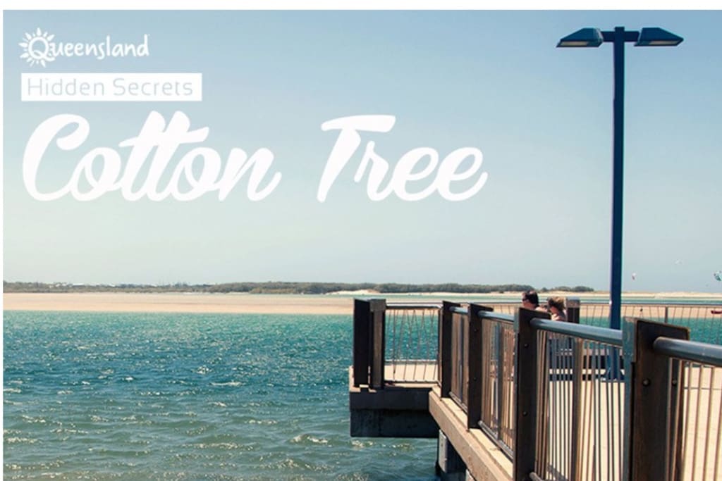 Cotton Tree
