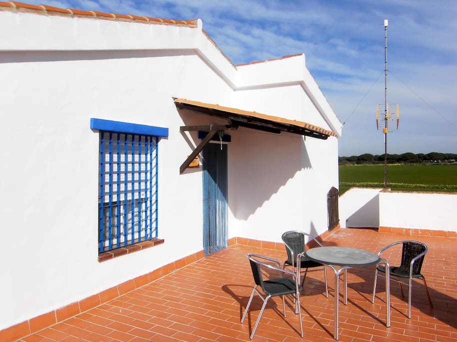 Gran terraza.