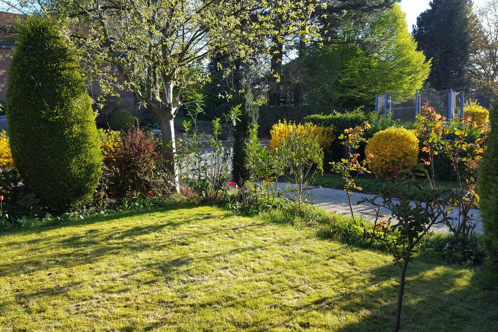 garden