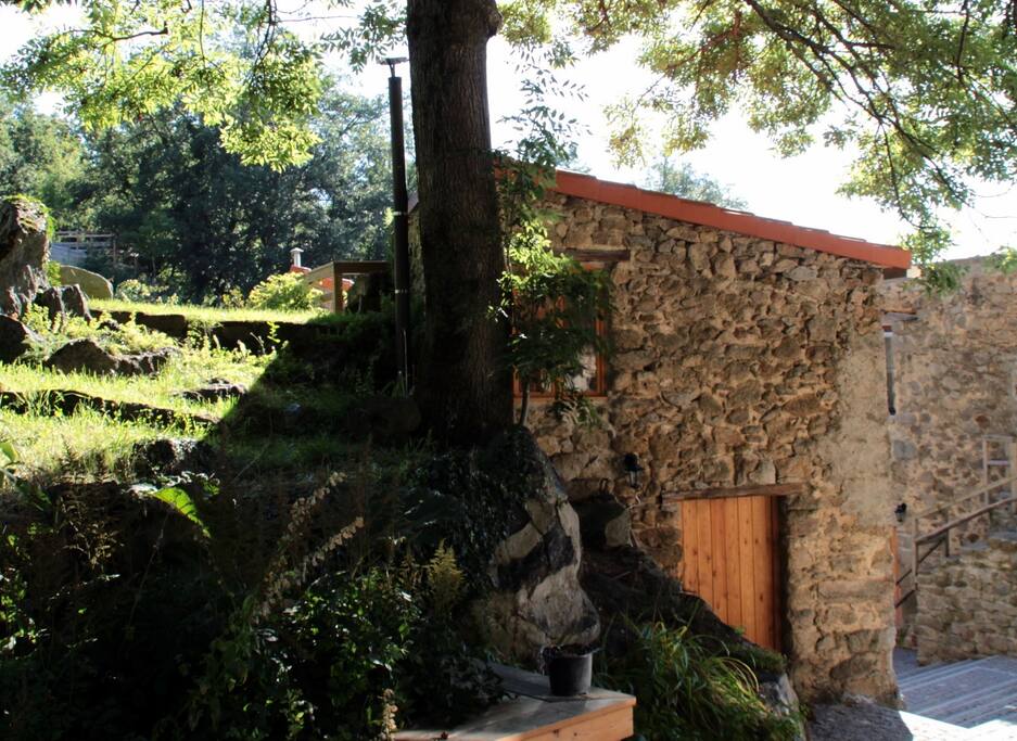 The Hermitage in Summer