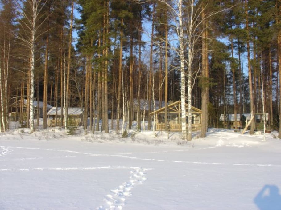 Kuvassa näkyvistä rakennuksista Pikku-Härkä-mökki on vasemmanpuoleinen. Siitä seuraava on pariaitta, takana näkyy viereinen Isä-Härkä-huvila, rannassa rantasauna ja oikeanpuoleisimpana puuvarasto. Kuva on otettu talvella jäältä.