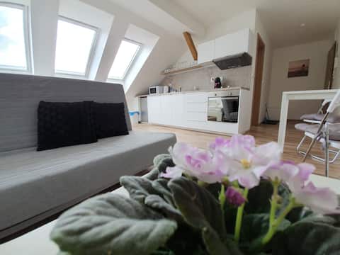 Podkrovní studio 2 air-conditioned, self check-in