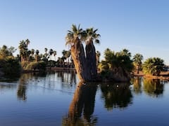 Photo of Papago Park