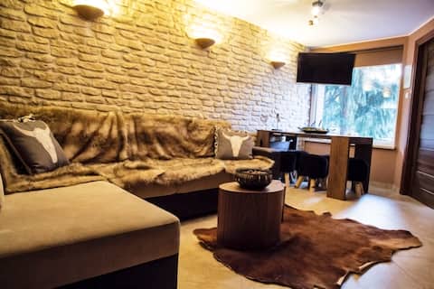 Apartment Pan Tadeusz Ustroń Centrum ground floor