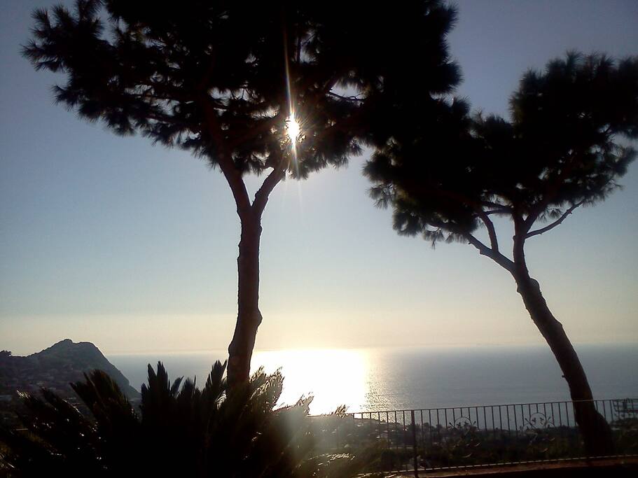 La vista