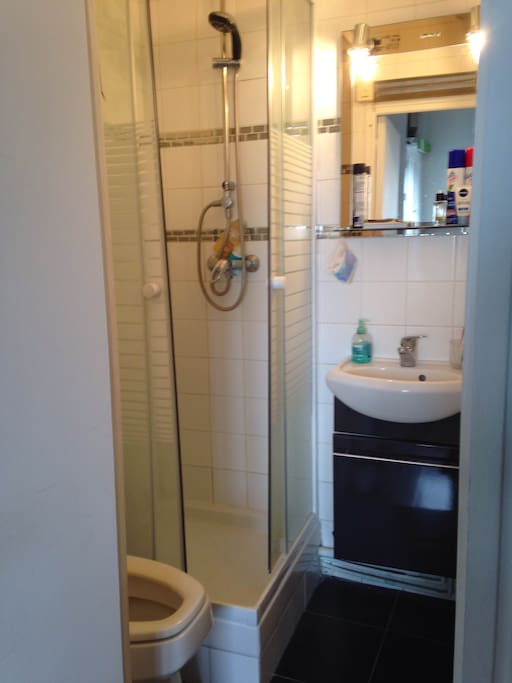 Bathroom / Salle de bain