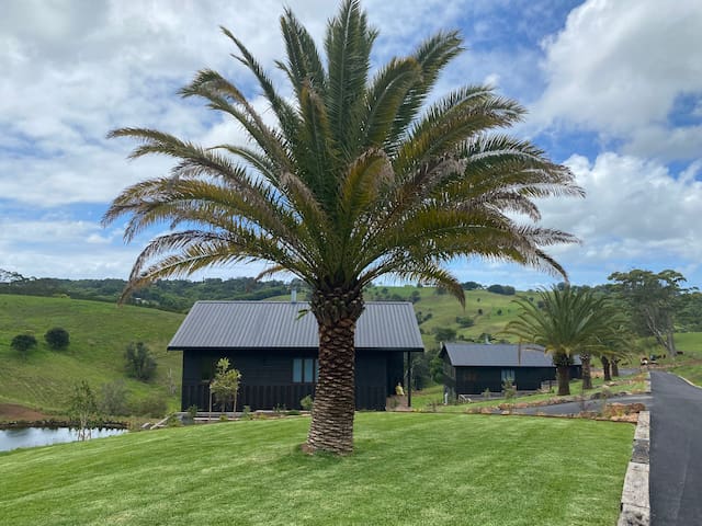 Black Cockatoo Coorabell #2