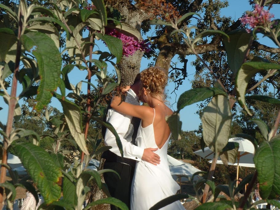 Beautiful wedding setting.
