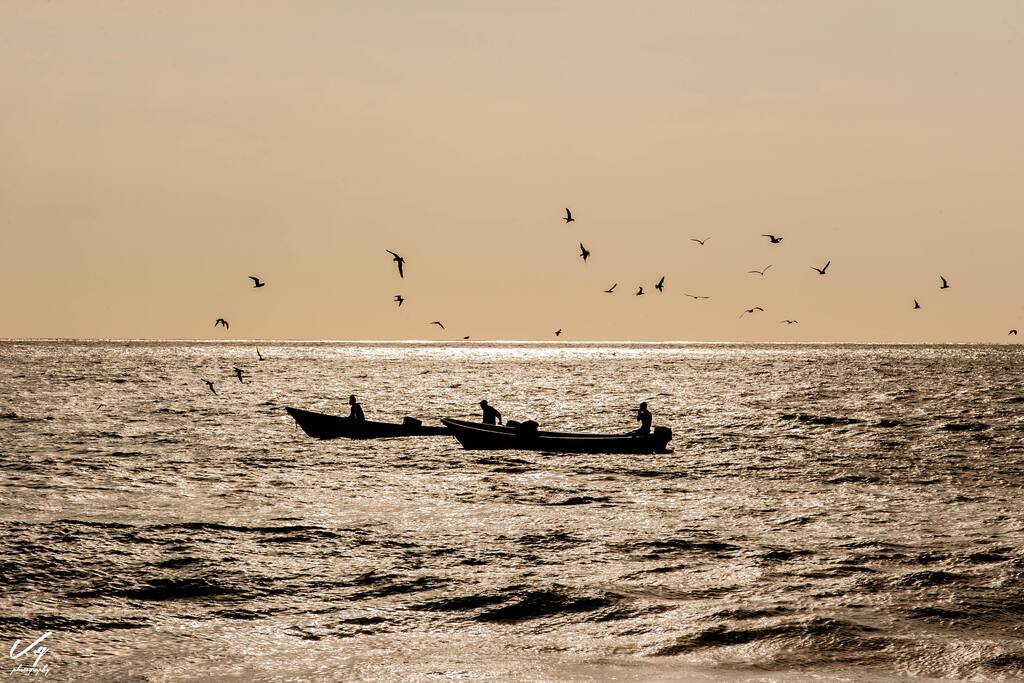 Paseo en canoa