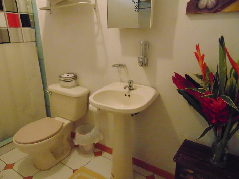 Each room have their own bathroom with hot water showers.