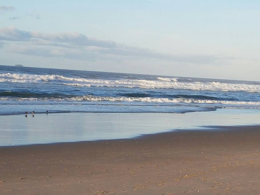 Mount Maunganui Beach.