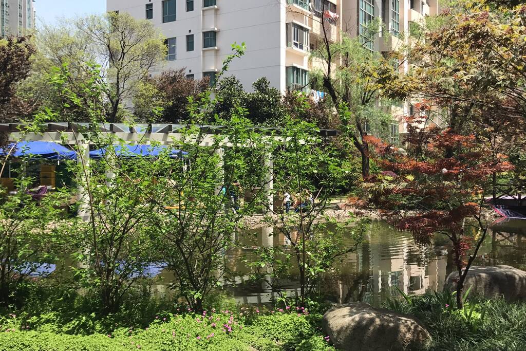 Mini lake in the complex