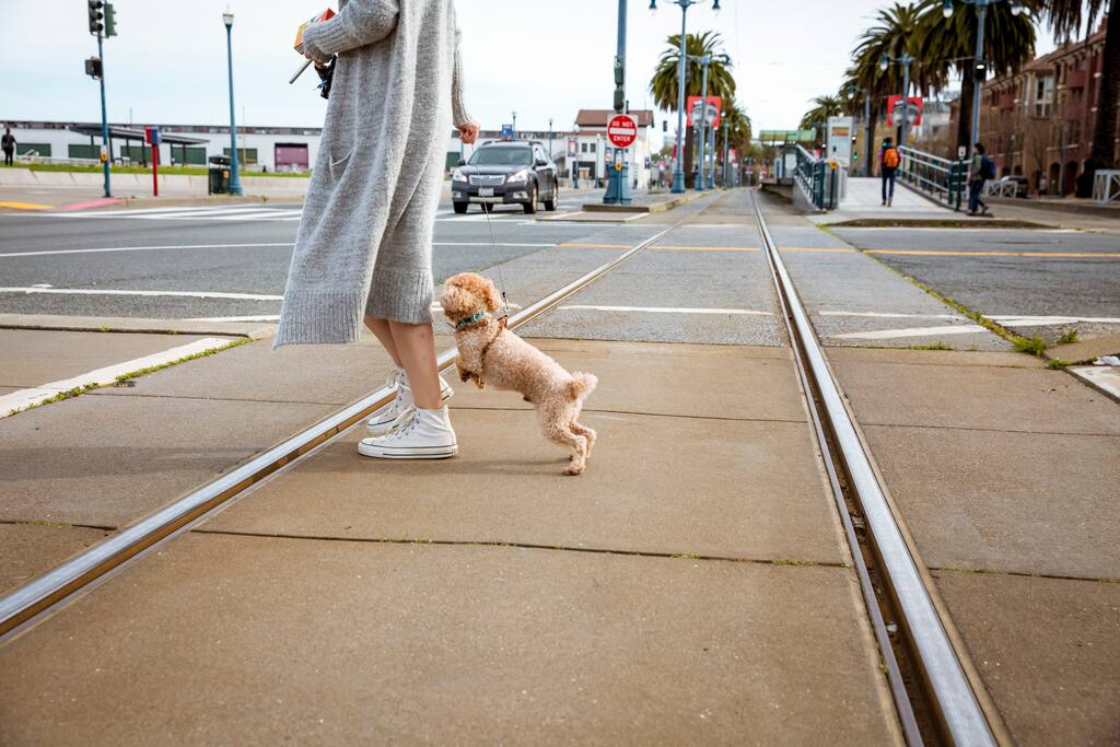 Photo of South Beach in SoMa