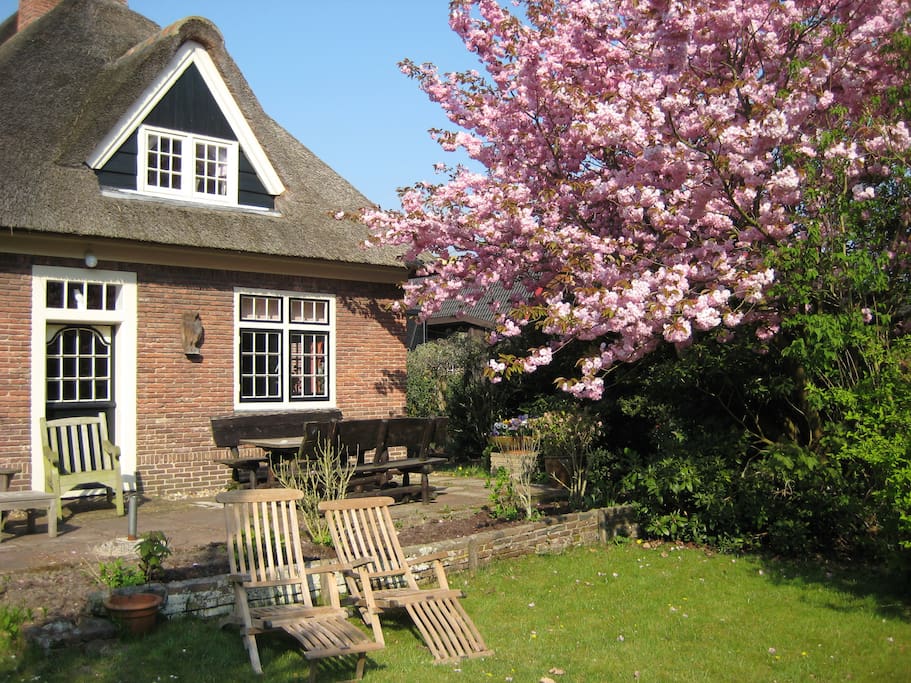 Cosy dutch cottage, beach and woods Flats for Rent in Schoorl, Noord