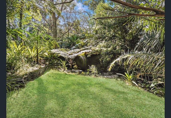 Dragonslair, natures oasis, Corrimal, Wollongong