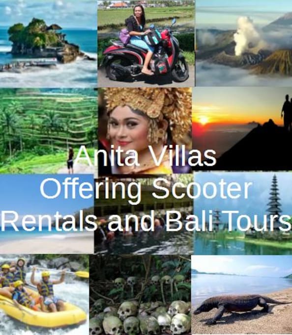 We can coordinate your scooter rental, hotel or airport transfers and the most popular Bali tours with our reliable and trusted drivers.
