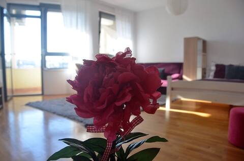 L&B City Center Studio Apartment