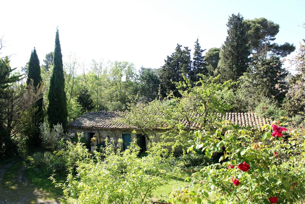 Entrée du jardin