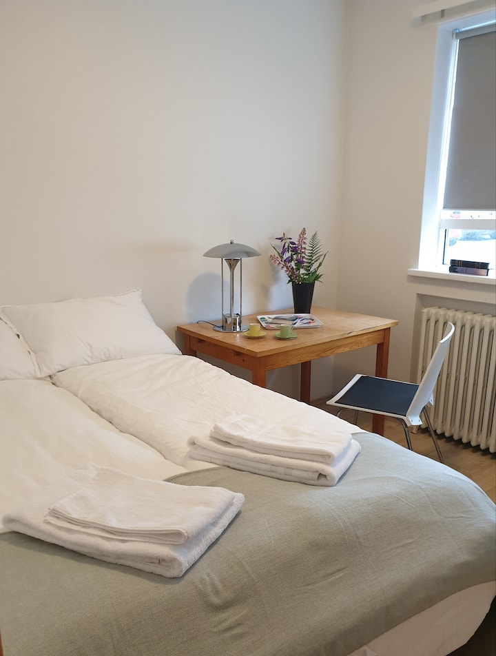 Cama de 120 cm,  cama para 1 o 2 personas.  Escritorio y vistas por la calle al este.