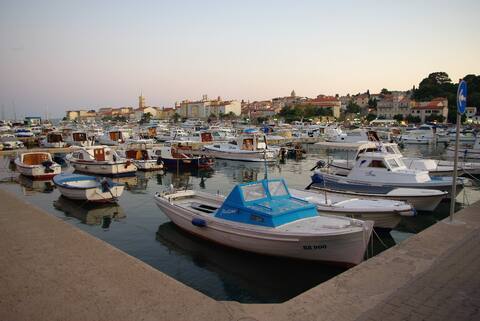 Perfect holiday for two, Olive house Rab