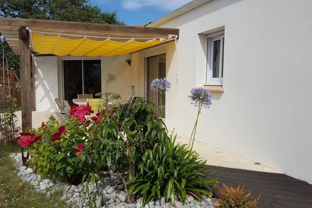 La terrasse ombragée