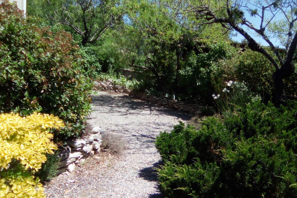 Balade dans la jardin