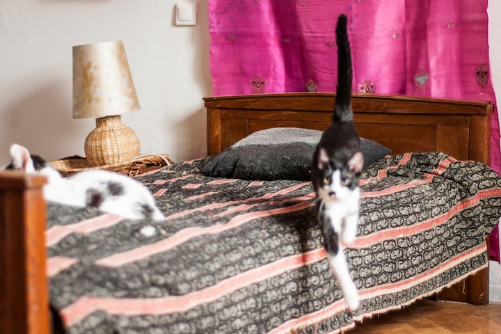 Stylish room/apartment two steps from city center