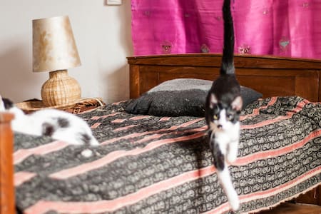 Stylish room/apartment two steps from city center