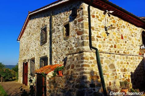 Frutti di Bosco Apartment