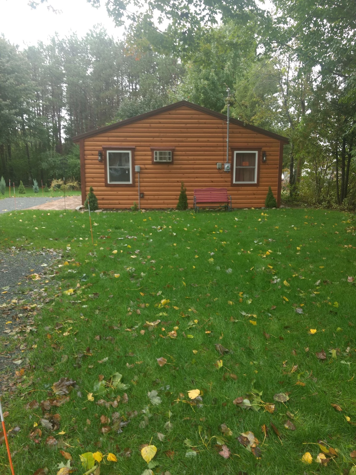 A rustic cabin is set within a lush green lawn, surrounded by trees. The wooden exterior presents a welcoming appearance, complemented by two windows and a small red bench. Fallen leaves scatter across the ground, indicating the season.
