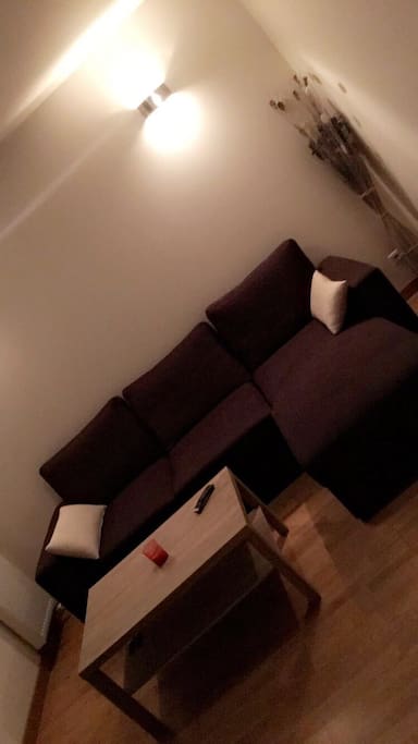 Un salon avec canapé-lit, Tv...