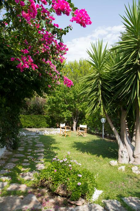 Giardino